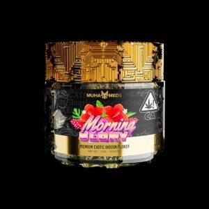 Morning Glory
