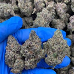 Biscotti Cannabis Strain
