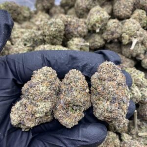 Black Runtz Hybrid Cannabis Flower