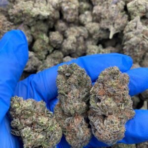 Bluci Hybrid Cannabis Strain