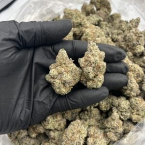 Carbon Fiber Hybrid Cannabis Strain