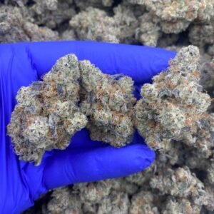 Cereal Milk Hybrid Cannabis Strain