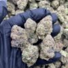 Gary Payton Cannabis Strain - Indica-Dominant Hybrid