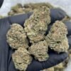 Gas Face Indica-Leaning Hybrid Flower