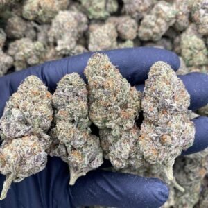 Gelato Cake Hybrid Cannabis Strain