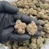 Gelonade Sativa-Dominant Hybrid Cannabis Strain