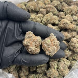 Gelonade Sativa-Dominant Hybrid Cannabis Strain