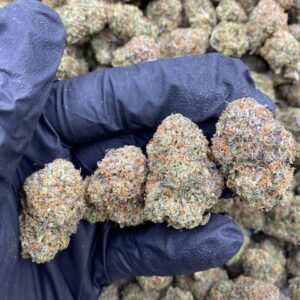 Gumbo Cannabis Strain
