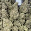 Lambs Breath Sativa Strain