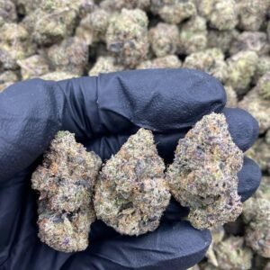 Lemon Drop Hybrid Cannabis Strain