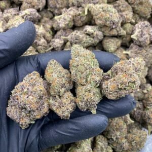 Madelato Hybrid Cannabis Flower